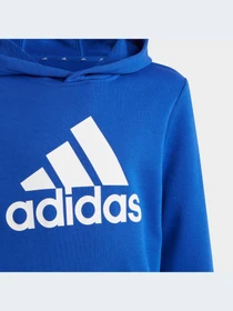 Худи и свитшоты Adidas модель IC6834-KZ Фото