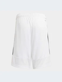 Шорты Adidas модель GT1337-KZ Фото