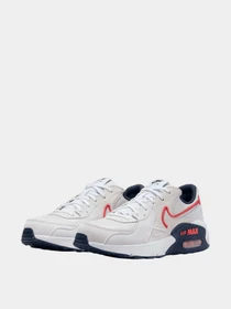 Кроссовки NIKE модель DZ0795-013 Фото