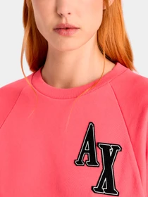 Худи и свитшоты Armani Exchange модель 6RYM48-YJEBZ-14AZ Фото