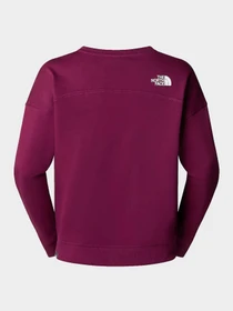 Худи и свитшоты The North Face модель NF0A3S4GI0H1 Фото