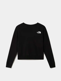 Худи и свитшоты The North Face модель NF0A4917JK31 Фото