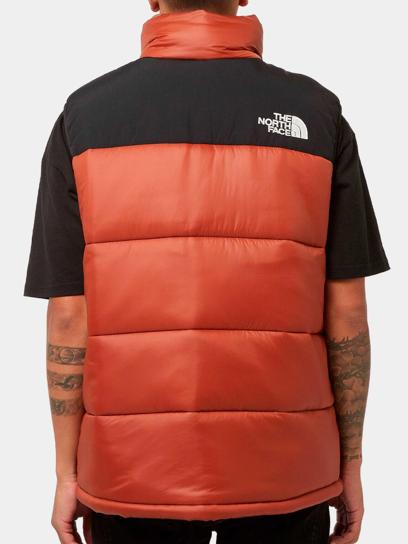 Куртки и дубленки The North Face модель NF0A4QZ4WEW1 Куртки и дубленки The North Face модель NF0A4QZ4WEW1 Фото