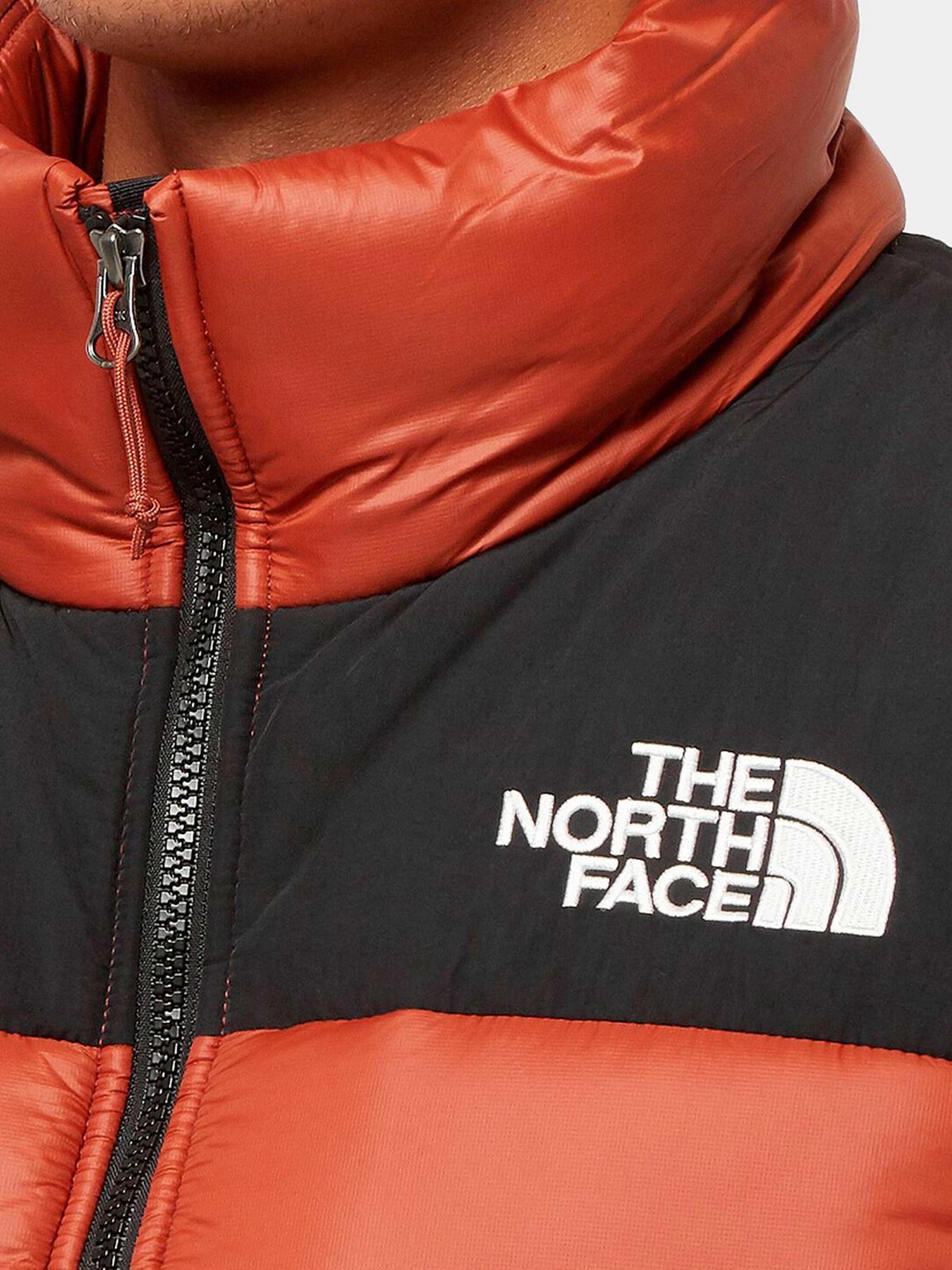 Куртки и дубленки The North Face модель NF0A4QZ4WEW1 Куртки и дубленки The North Face модель NF0A4QZ4WEW1 Фото