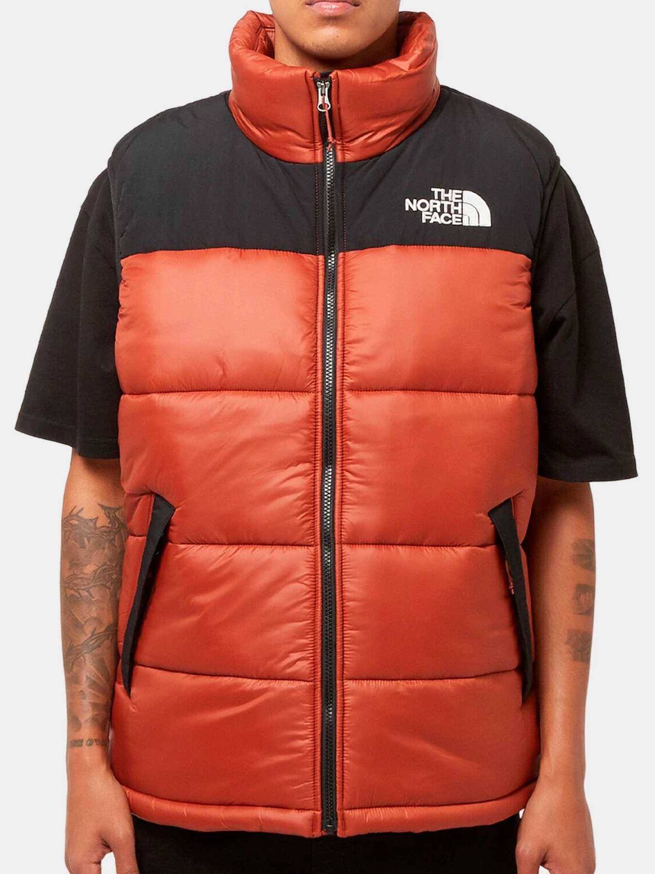 Куртки и дубленки The North Face модель NF0A4QZ4WEW1 Куртки и дубленки The North Face модель NF0A4QZ4WEW1 Фото
