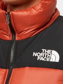 Куртки и дубленки The North Face модель NF0A4QZ4WEW1 Фото