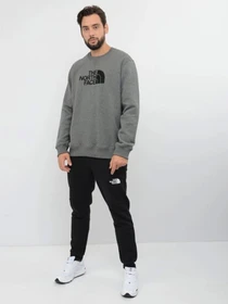 Худи и свитшоты The North Face модель NF0A4SVRGVD1 Фото