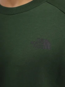 Худи и свитшоты The North Face модель NF0A4SZ9I0P1 Фото