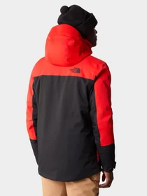 Куртки и дубленки The North Face модель NF0A5GM315Q1 Фото