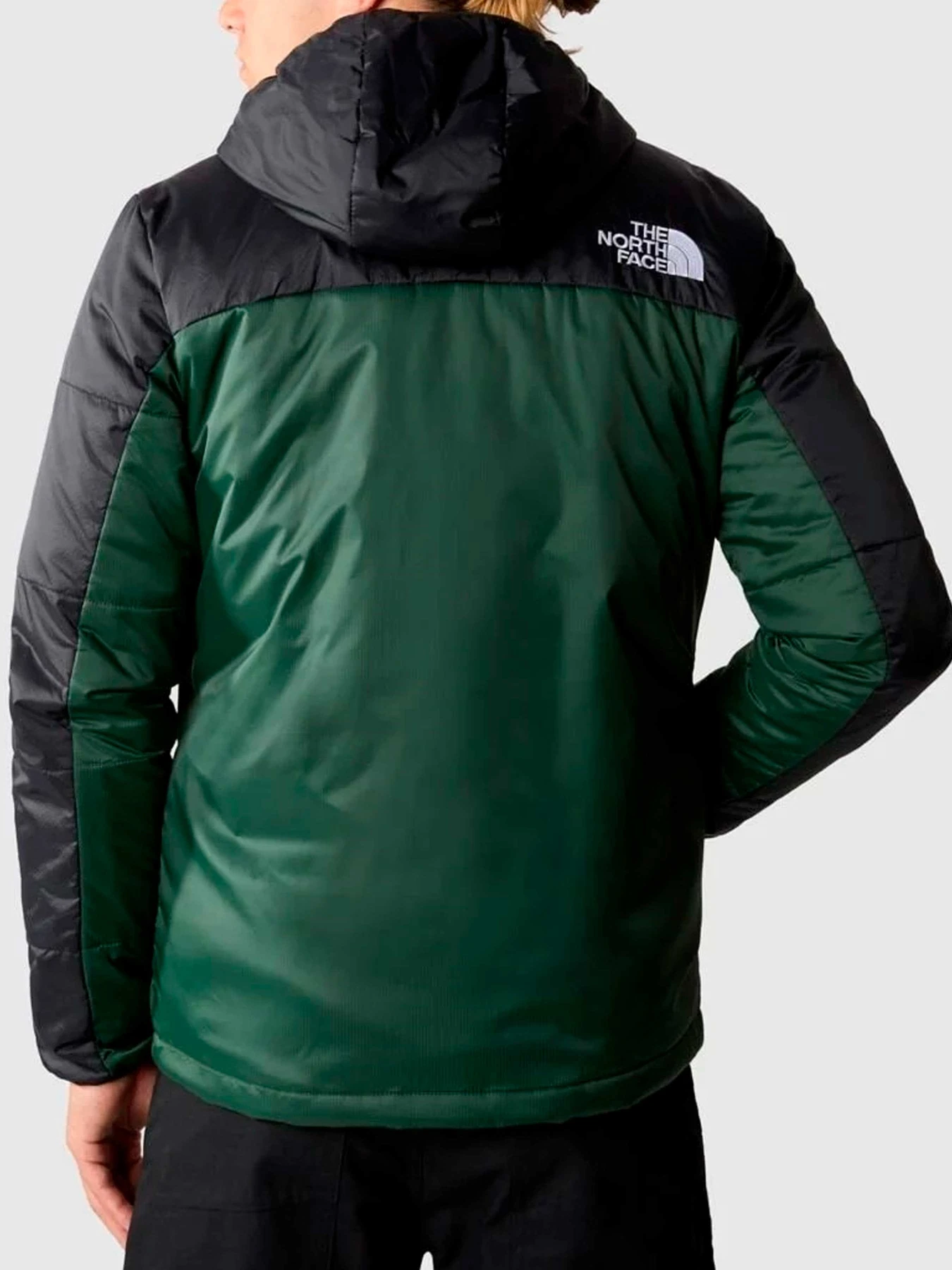 Куртки и дубленки The North Face модель NF0A7WZXKII1 Куртки и дубленки The North Face модель NF0A7WZXKII1 Фото