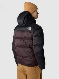 Куртки и дубленки The North Face модель NF0A7X16LOS1 Фото