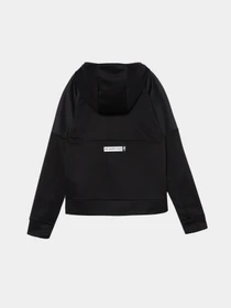 Худи и свитшоты The North Face модель NF0A82E3JK31 Фото