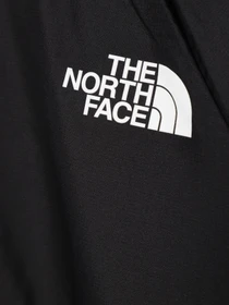 Худи и свитшоты The North Face модель NF0A82E3JK31 Фото