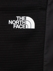 Брюки The North Face модель NF0A82E5JK31 Фото