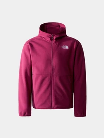 Куртки и дубленки The North Face модель NF0A82TVI0H1 Фото