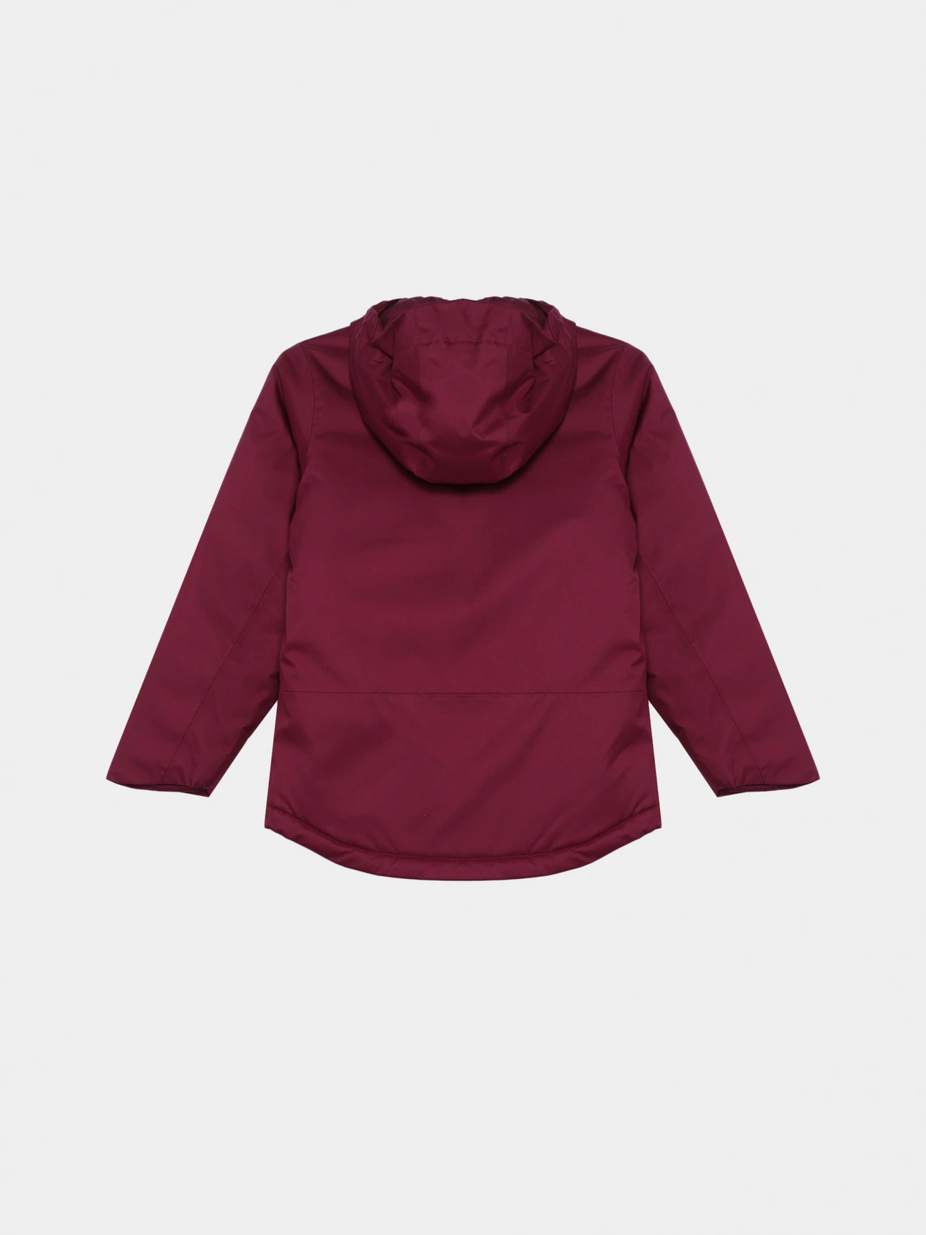 Куртки и дубленки The North Face модель NF0A82Y6I0H1 Куртки и дубленки The North Face модель NF0A82Y6I0H1 Фото