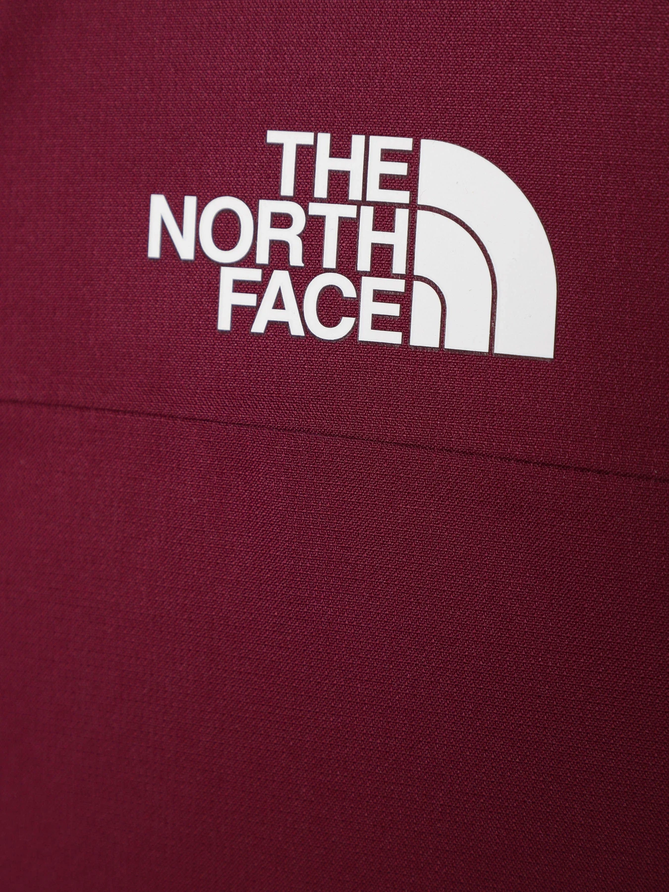 Куртки и дубленки The North Face модель NF0A82Y6I0H1 Куртки и дубленки The North Face модель NF0A82Y6I0H1 Фото