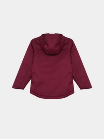 Куртки и дубленки The North Face модель NF0A82Y6I0H1 Фото
