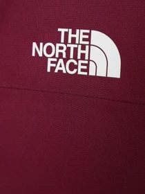 Куртки и дубленки The North Face модель NF0A82Y6I0H1 Фото