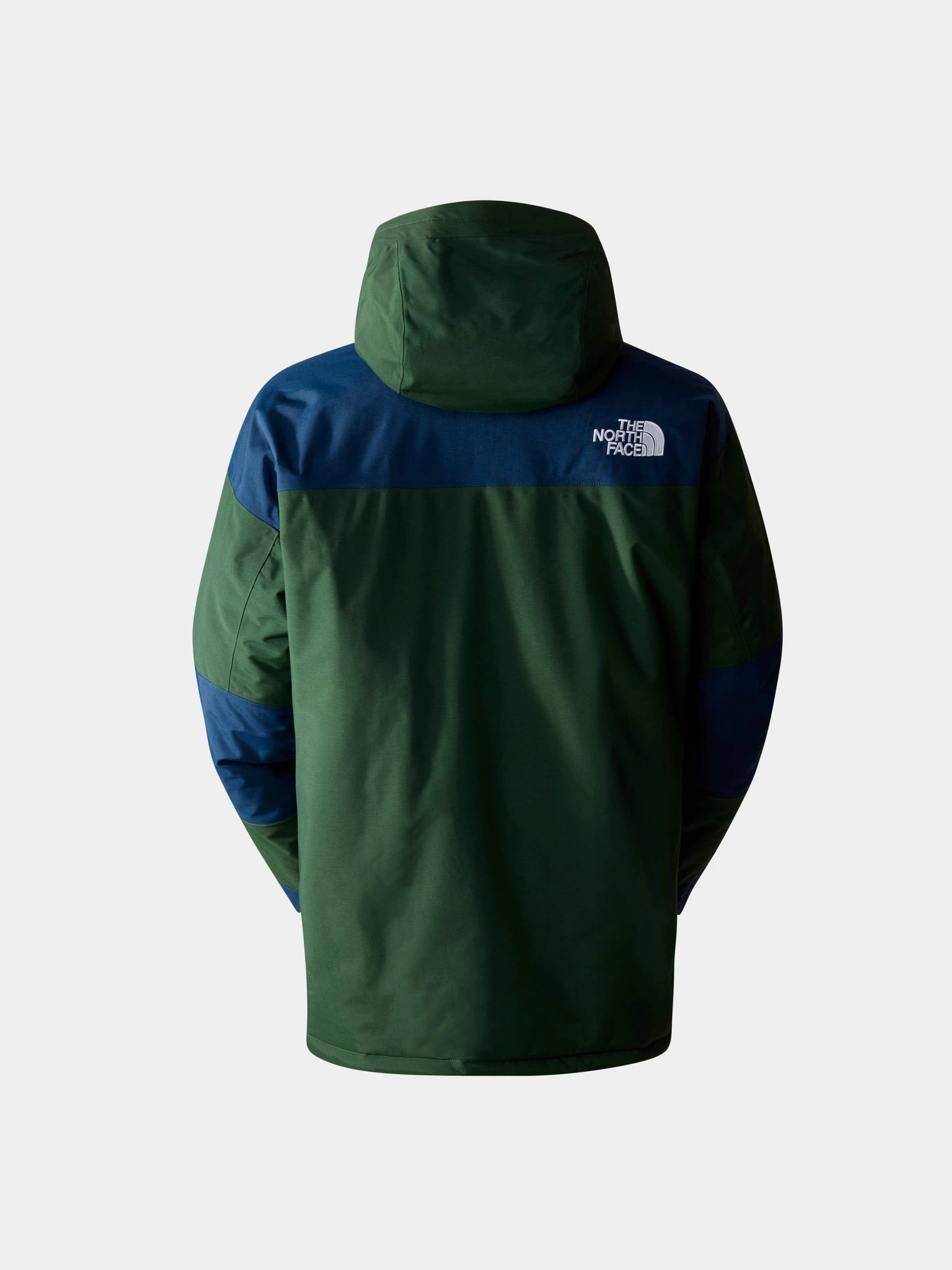 Куртки и дубленки The North Face модель NF0A831HOAS1 Куртки и дубленки The North Face модель NF0A831HOAS1 Фото