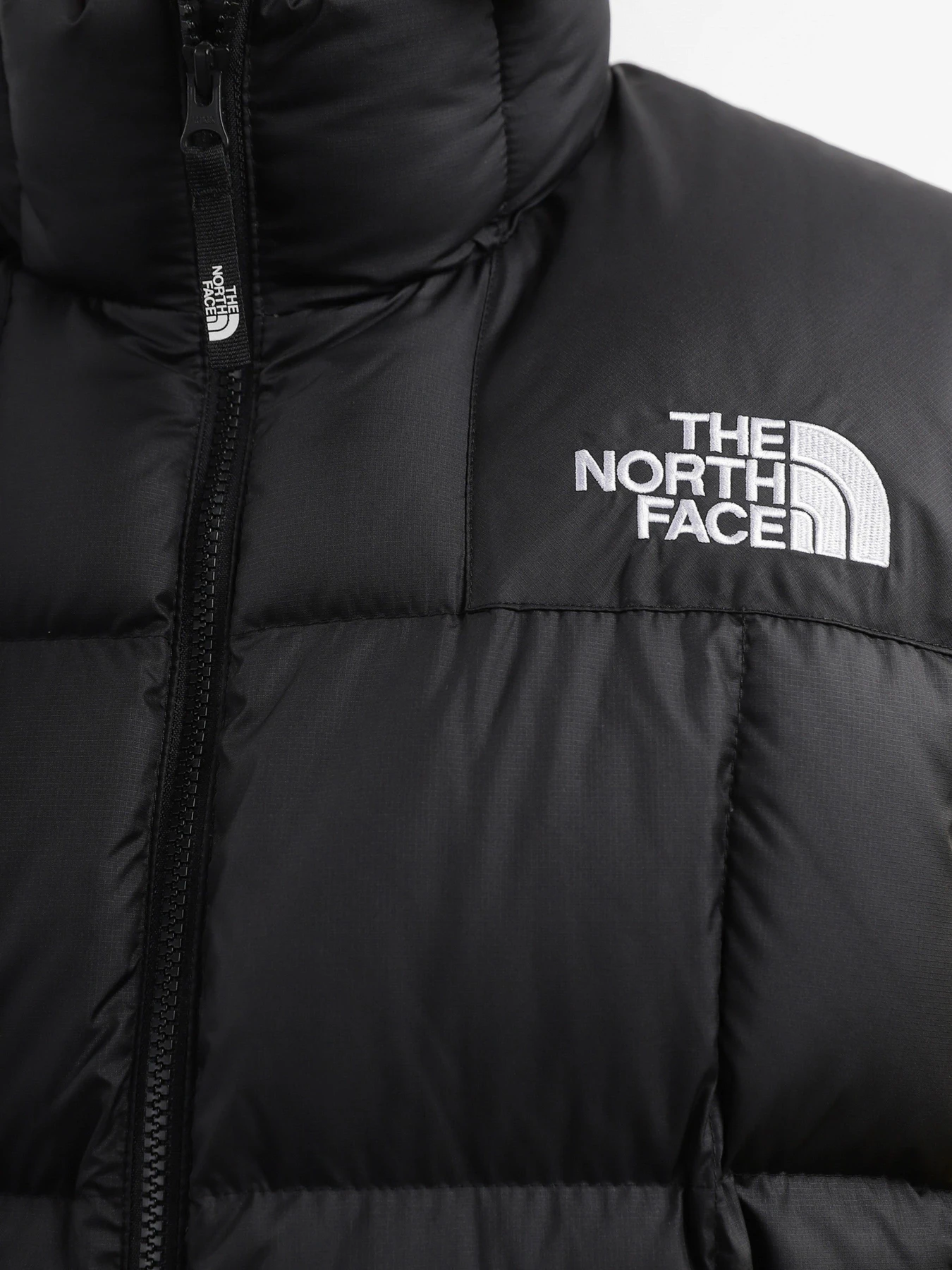 Куртки и дубленки The North Face модель NF0A853DJK31 Куртки и дубленки The North Face модель NF0A853DJK31 Фото