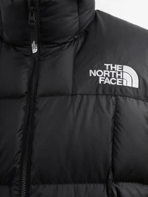 Куртки и дубленки The North Face модель NF0A853DJK31 Фото