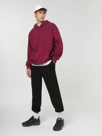 Худи и свитшоты The North Face модель NF0A853ZI0H1 Фото