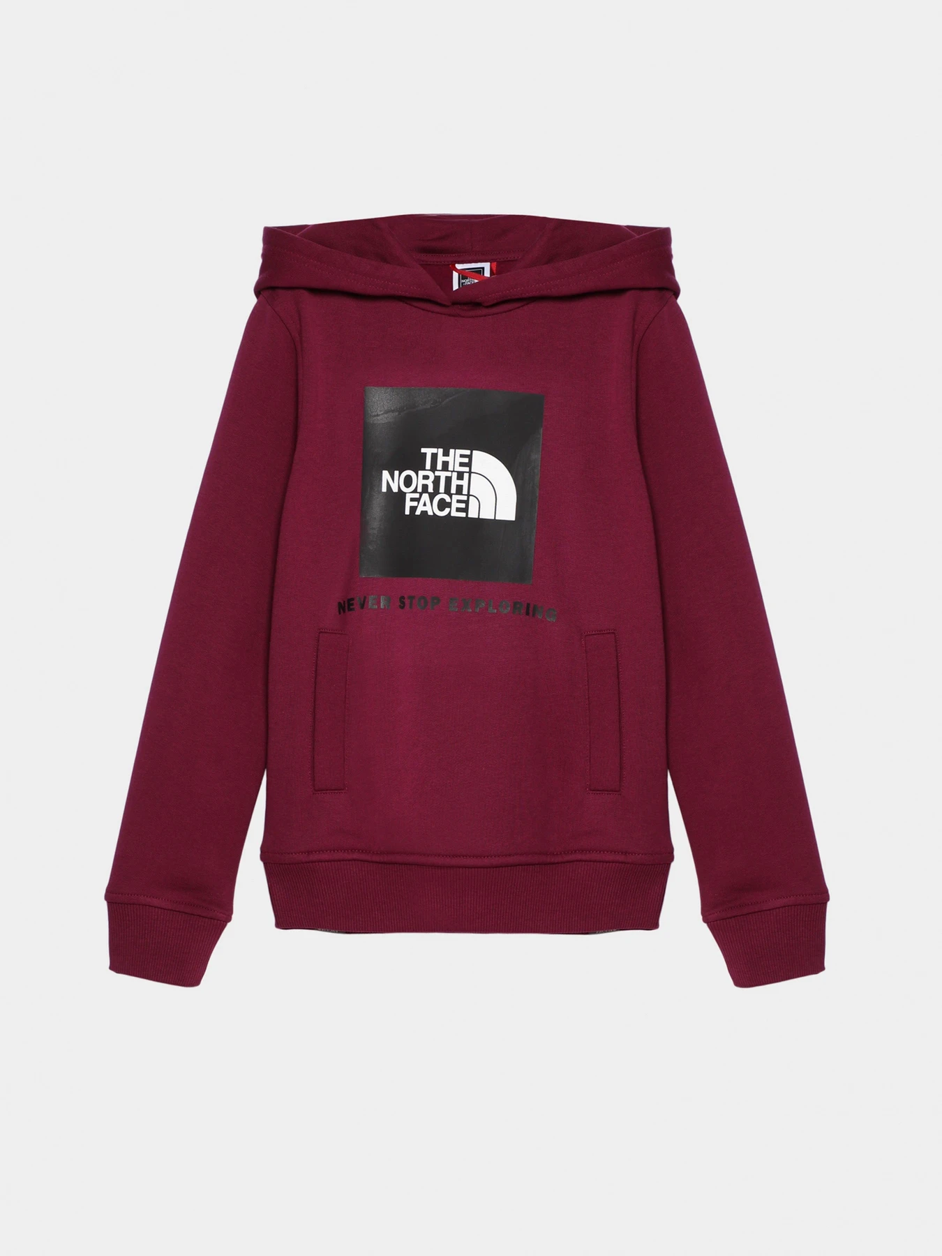 Худи и свитшоты The North Face модель NF0A855BI0H1 Фото