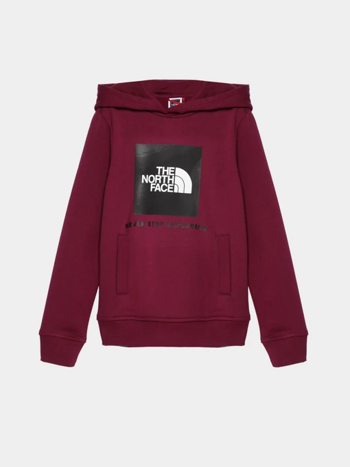 Худи и свитшоты The North Face модель NF0A855BI0H1 Фото