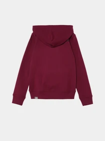 Худи и свитшоты The North Face модель NF0A855BI0H1 Фото