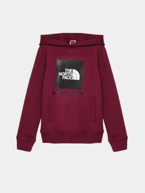 Худи и свитшоты The North Face модель NF0A855BI0H1 Фото
