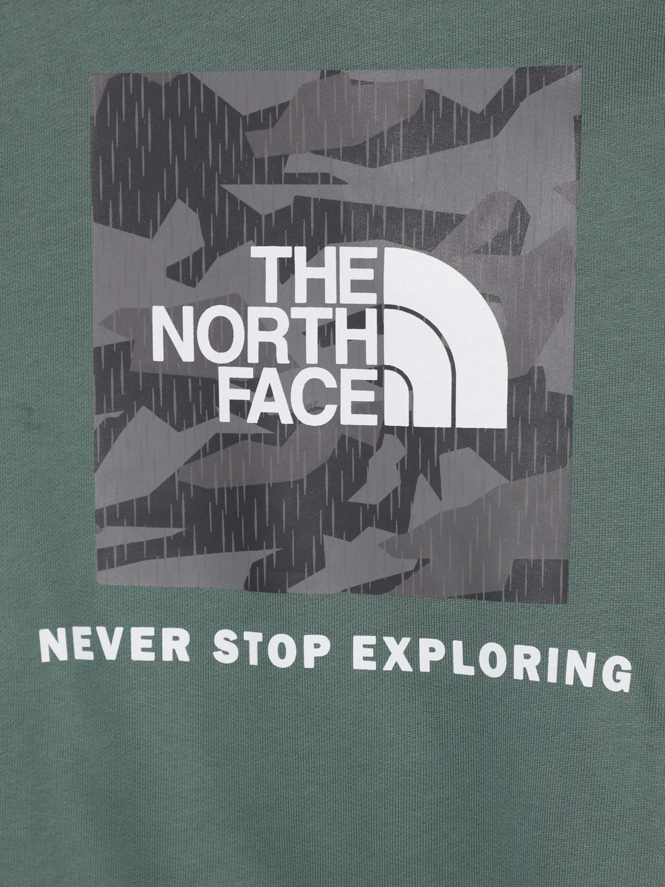 Худи и свитшоты The North Face модель NF0A855BO241 Фото