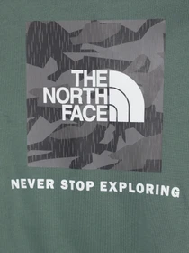 Худи и свитшоты The North Face модель NF0A855BO241 Фото