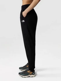 Брюки The North Face модель NF0A855QJK31 Фото