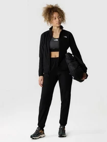 Брюки The North Face модель NF0A855QJK31 Фото
