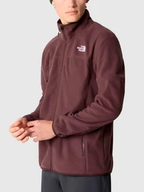 Худи и свитшоты The North Face модель NF0A855XI0I1 Фото