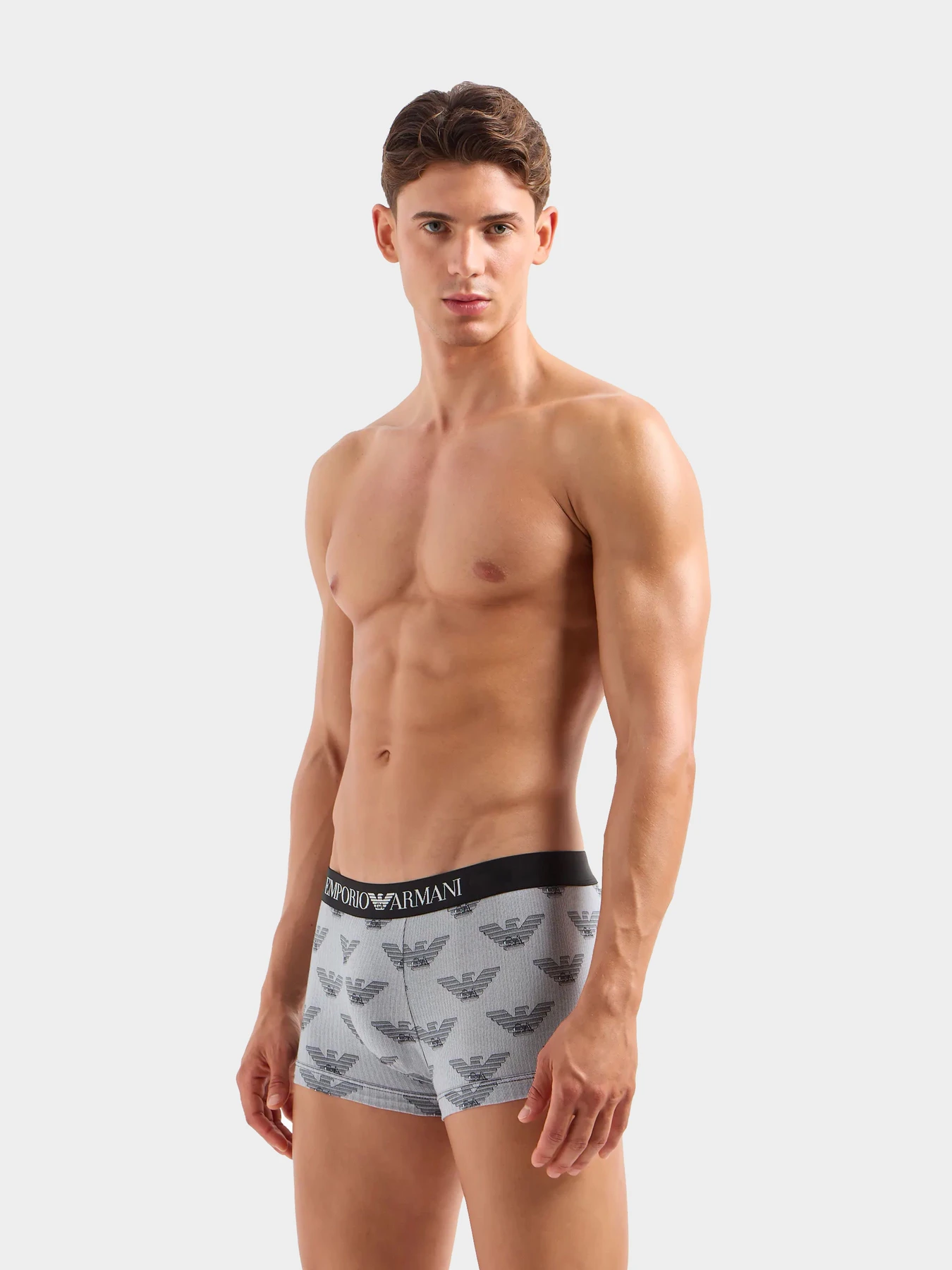 Нижнее белье Emporio Armani модель 111210-3F504-12511 Нижнее белье Emporio Armani модель 111210-3F504-12511 Фото