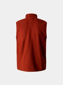 Свитры и кардиганы The North Face модель NF0A7SSLUBC1 Фото