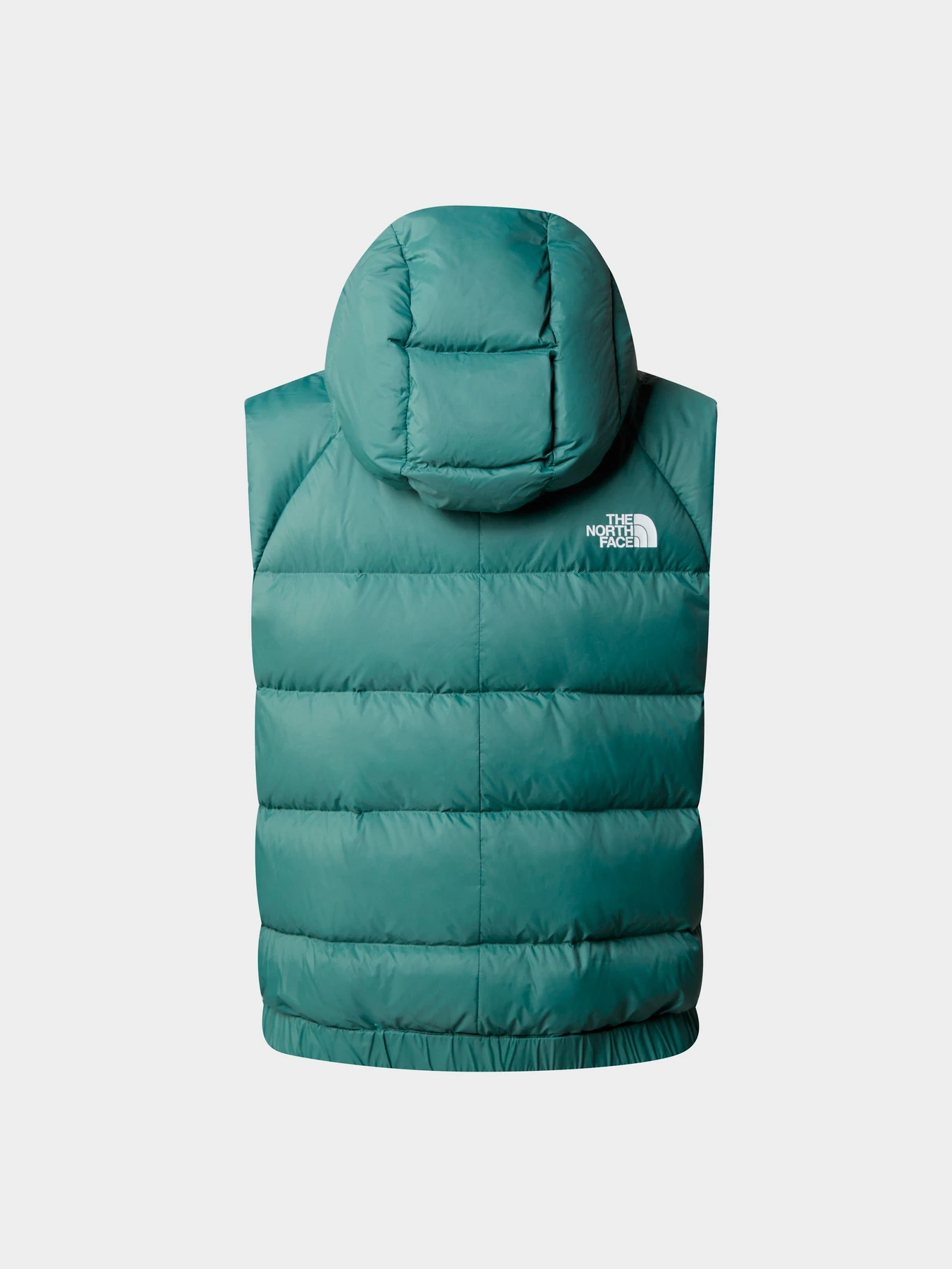 Куртки и дубленки The North Face модель NF0A7SXEI0F1 Куртки и дубленки The North Face модель NF0A7SXEI0F1 Фото