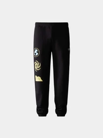 Брюки The North Face модель NF0A7UODOBT1 Фото