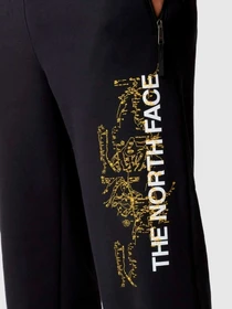 Брюки The North Face модель NF0A84GJOGC1 Фото