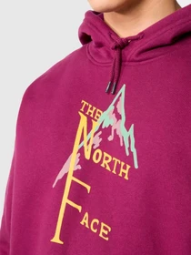 Худи и свитшоты The North Face модель NF0A84GKLI71 Фото