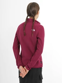 Худи и свитшоты The North Face модель NF0A855MI0H1 Фото