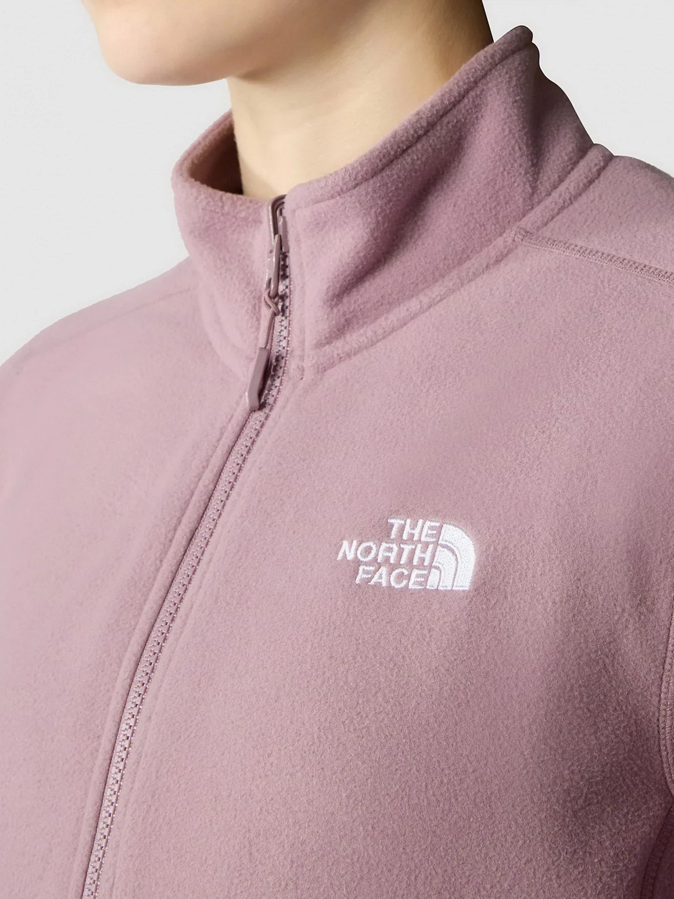Худи и свитшоты The North Face модель NF0A855OI0V1 Худи и свитшоты The North Face модель NF0A855OI0V1 Фото