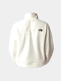 Худи и свитшоты The North Face модель NF0A855PN3N1 Фото