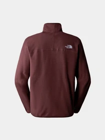 Худи и свитшоты The North Face модель NF0A855WI0I1 Фото