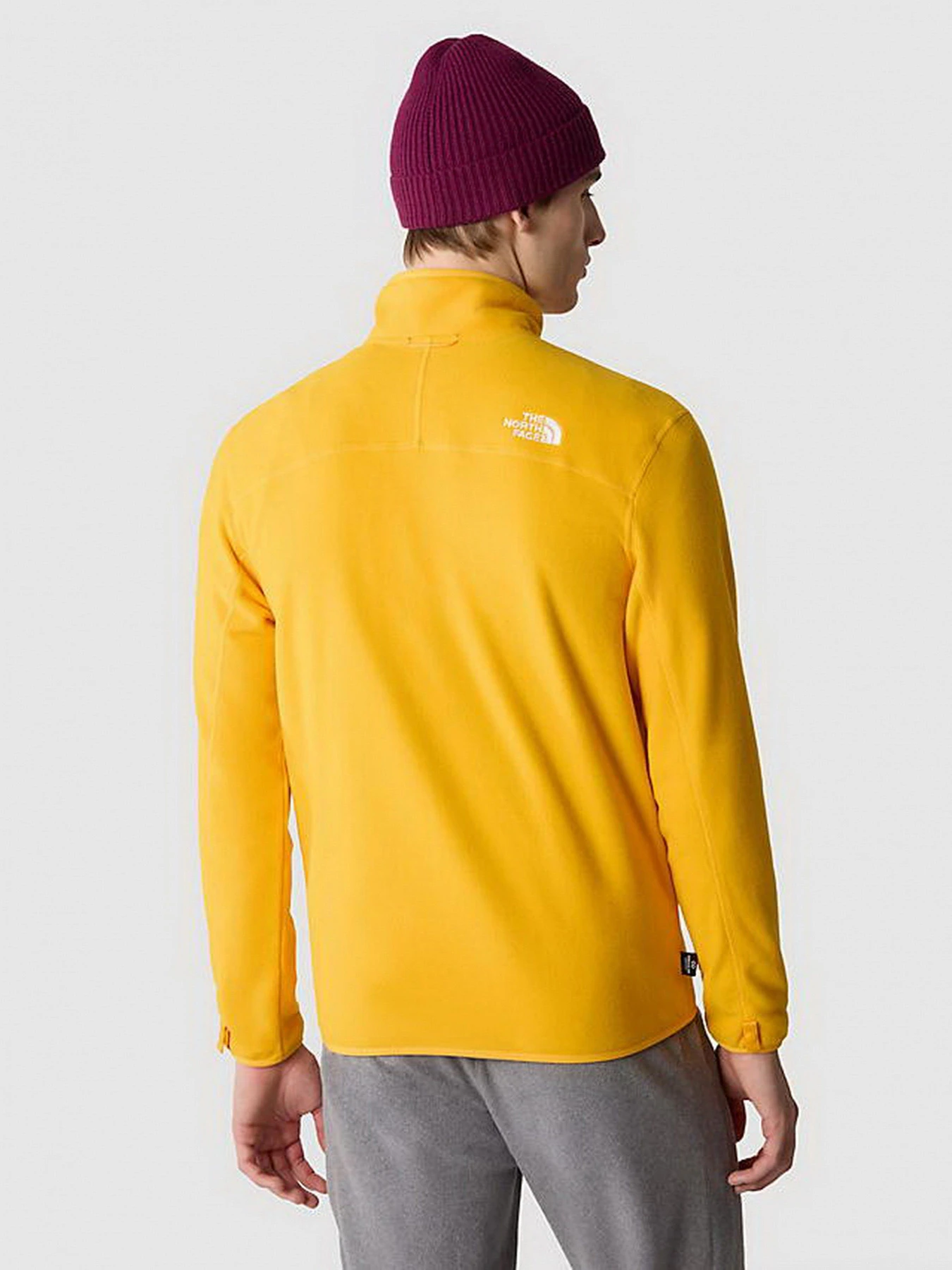 Худи и свитшоты The North Face модель NF0A855X56P1 Худи и свитшоты The North Face модель NF0A855X56P1 Фото