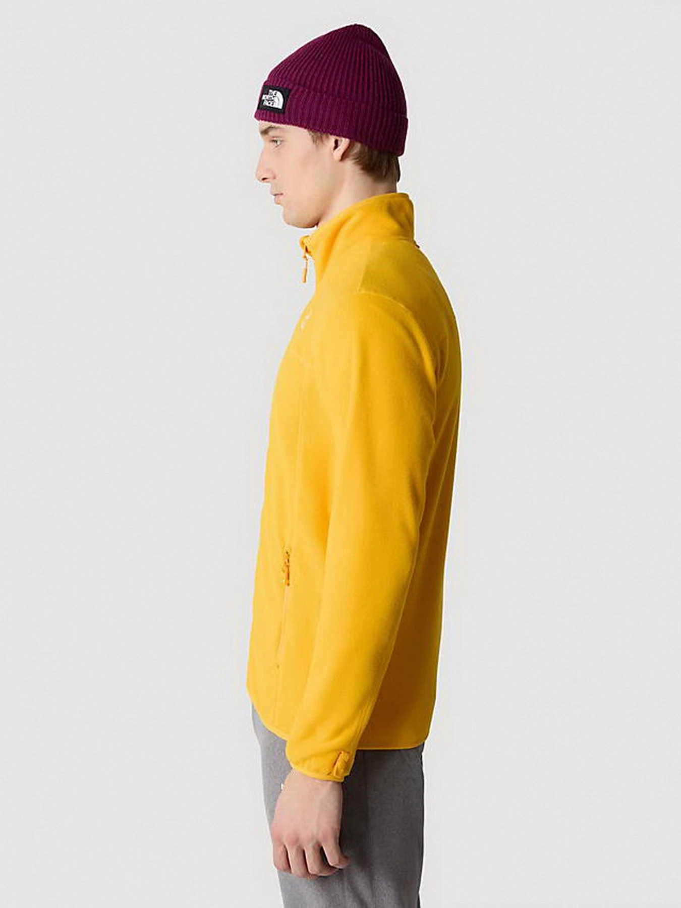 Худи и свитшоты The North Face модель NF0A855X56P1 Худи и свитшоты The North Face модель NF0A855X56P1 Фото