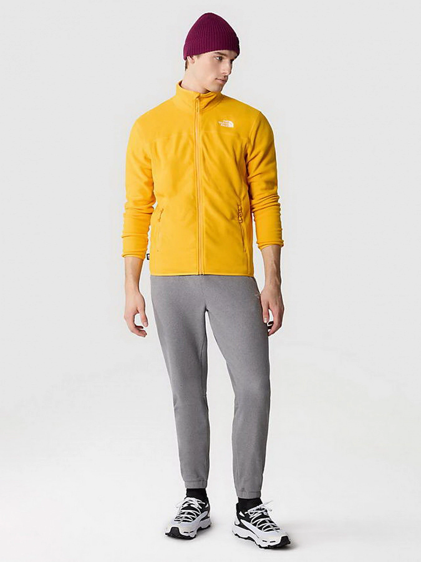 Худи и свитшоты The North Face модель NF0A855X56P1 Худи и свитшоты The North Face модель NF0A855X56P1 Фото