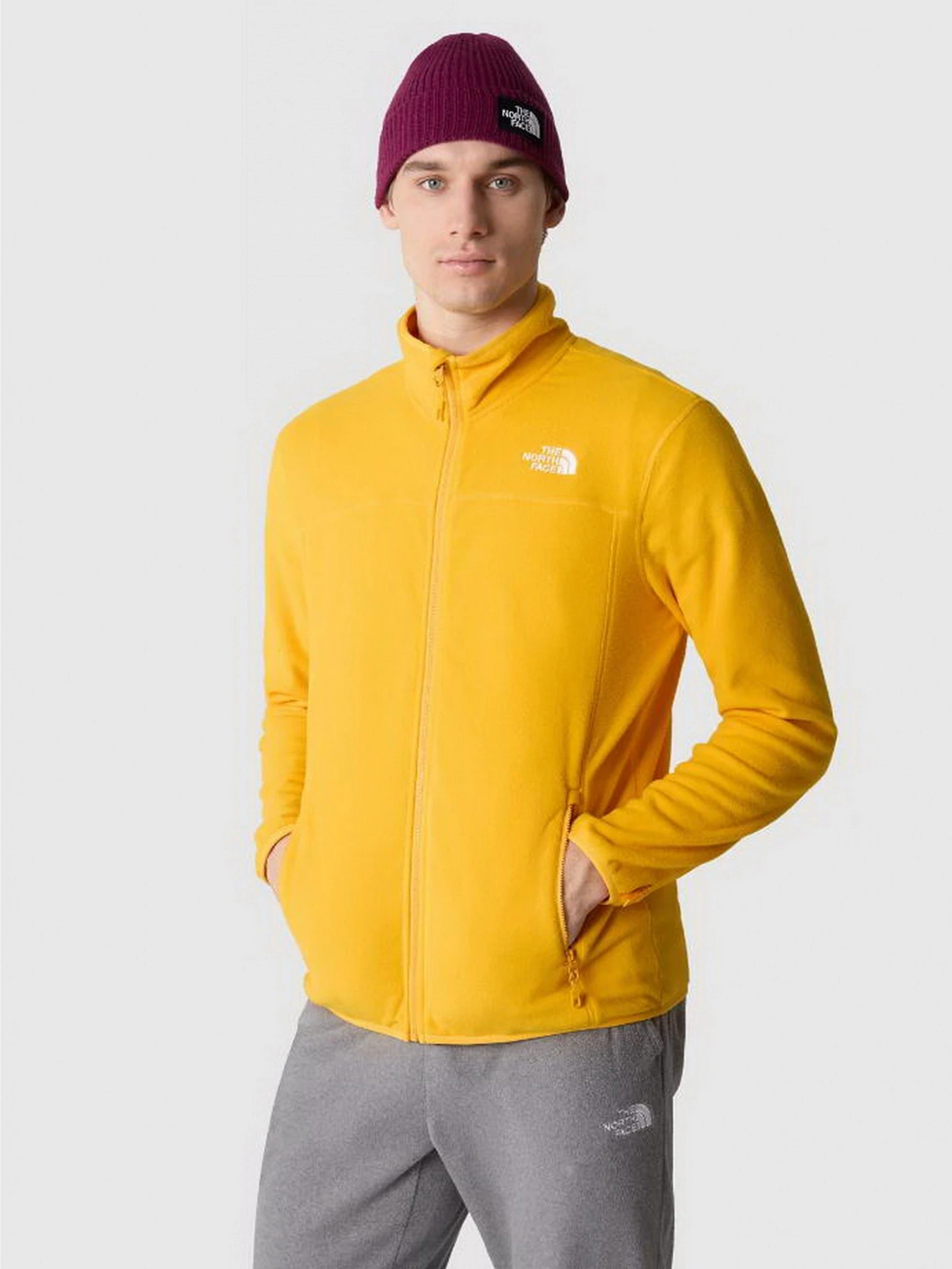 Худи и свитшоты The North Face модель NF0A855X56P1 Худи и свитшоты The North Face модель NF0A855X56P1 Фото